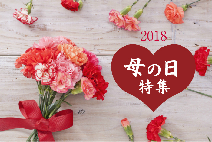 【 同梱専用 】 2018 母の日 カーネーション / 造花 18cm 贈り物 ギフト 感謝 ありがとう