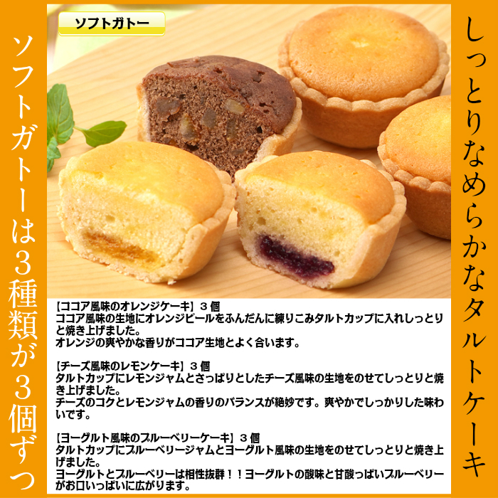 ソフトガトー