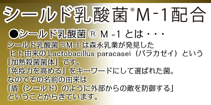 シールド乳酸菌とは